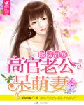 暧昧甜宠:高官老公呆萌妻