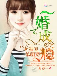 一婚成瘾:独宠呆萌妻