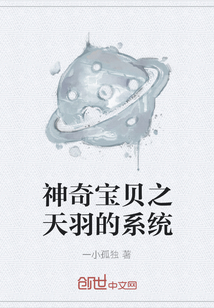 神奇宝贝之天羽的系统