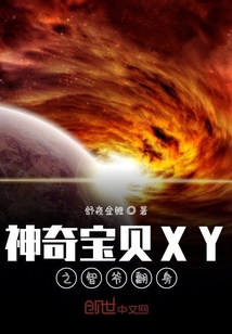 神奇宝贝XY之智爷翻身