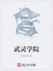 武灵学院