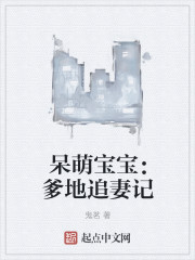 呆萌宝宝：爹地追妻记