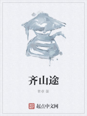 齐山途