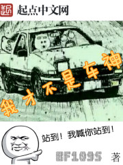 我才不是车神