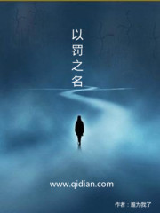 以罚之名