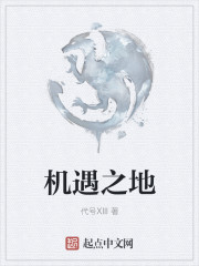 机遇之地