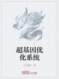 超基因优化系统