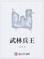 武林兵王