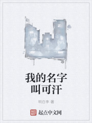 我的名字叫可汗