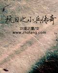 抗日之小兵传奇