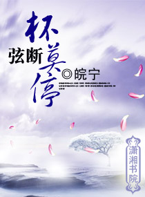 弦断杯莫停